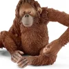 Orangutang-hun