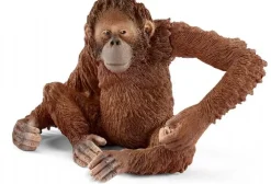 Orangutang-hun