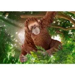 Orangutang-hun