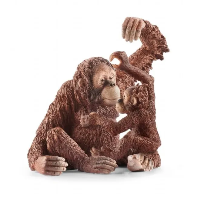 Orangutang-hun