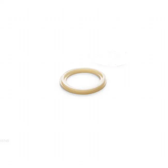 O-ring til Intex hane 10747