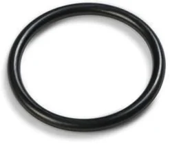 O-ring til intex pumpe