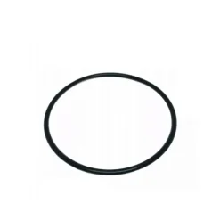 O-ring til Intex Sandfilterpumpe Tank