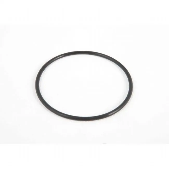 O-ring til Sandfilterpumpe