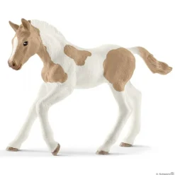Paint Horse, føl