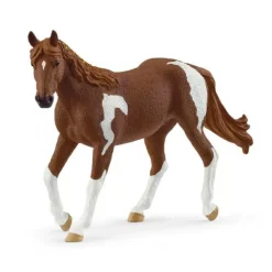 Paint Horse Hoppe