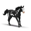 Paint Horse Vallak