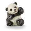 Panda unge, legende