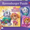 Paw patrol Girls 3x49 brikker