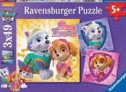 Paw patrol Girls 3x49 brikker