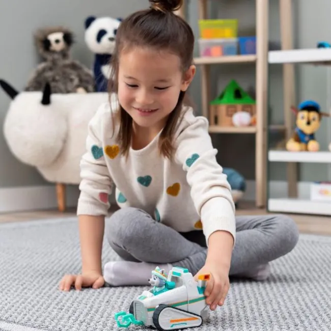 Paw Patrol Snow Plow, Everest