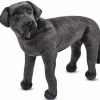 Plys labrador