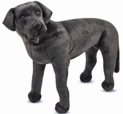 Plys labrador