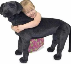 Plys labrador