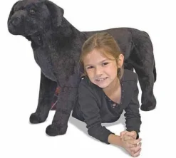 Plys labrador