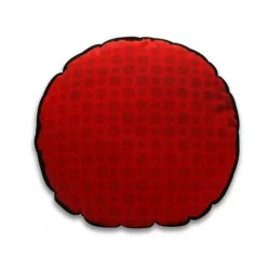 Pokemon Pude Pokeball
