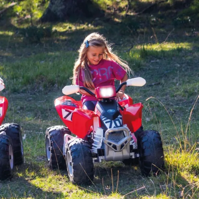 Polaris outlaw 330W, 12V