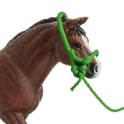 Pony Agility Bane