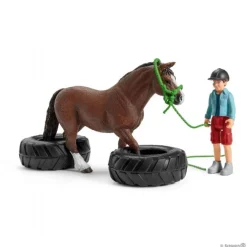 Pony Agility Bane