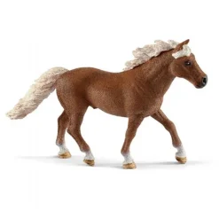Pony, agilitytræning