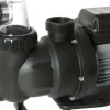 Pumpe 550W