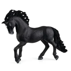 Pura Raza Espanola Hingst