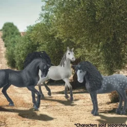 Pura Raza Espanola Hingst