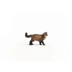 Ragdoll Kat