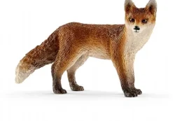 Ræv