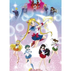 Sailor Moon Plakat Moonlight 91,5x61cm