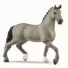 Selle Français-hingst