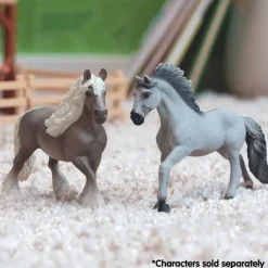 Silver Dapple-Hoppe