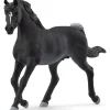 Sorte araberhingst