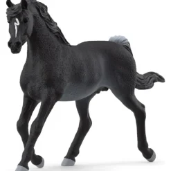 Sorte araberhingst