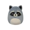 Squishmallows Rocky the Raccoon 19cm