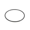 Strainer O-ring til Sandfilter