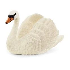 Svane
