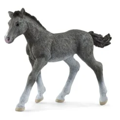 Trakehner Føl