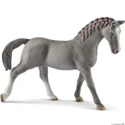 Trakehner, hoppe