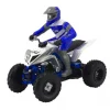 Yamaha Raptor 700R RC